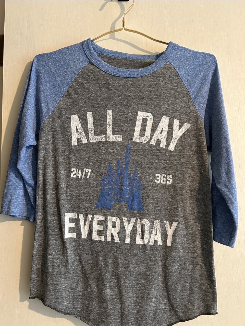Disney All Day Everyday Women’s Small Raglan Baseball Tee - Gray & Blue